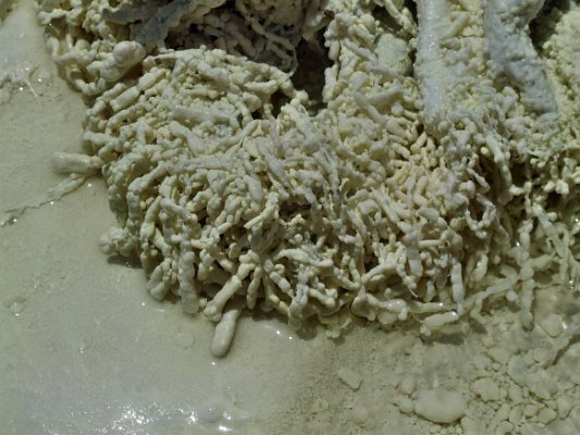 Na cestě z Chorogu do Iškašimu (6)